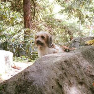 Meet your Posher, Lori